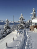 Bodensteinalm