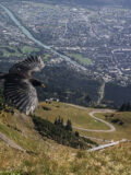 Bodensteinalm am 16.10.2016