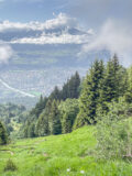 Bodensteinalm am 07.06.2026