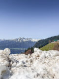 Bodensteinalm, Höttinger Alm am 25.04.2026 Bodensteinalm, Höttinger Alm am 25.04.2026