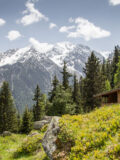 Milderaunalm am 08.06.2013
