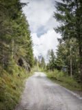Milderaunalm am 26.05.2019