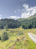 Milderaunalm am 14.08.2023