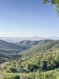 Poggio Serra Alta