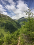 Sonnbergalm am 17.07.2016