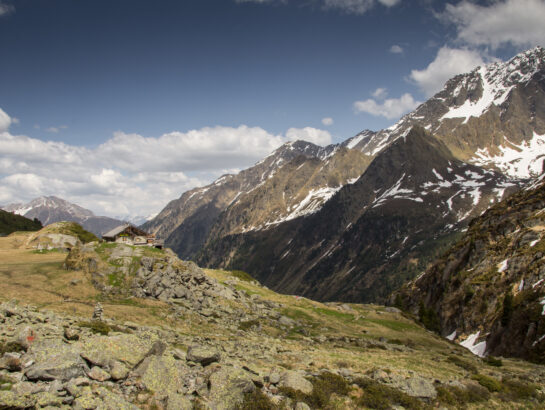 Alpeinalm Wandern 1