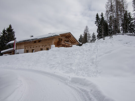 Auffangalm Rodeln 1