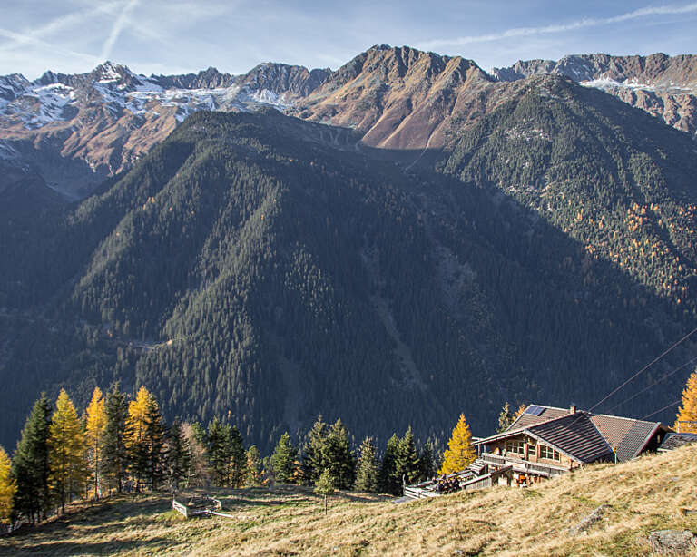 Bacherwandalm im Herbst
