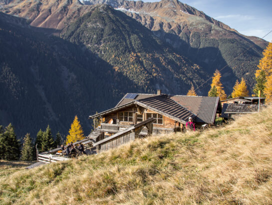 Bacherwandalm