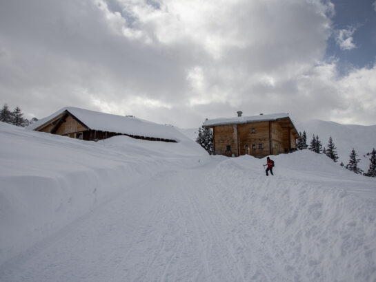 Birgitzalm Rodeln 1
