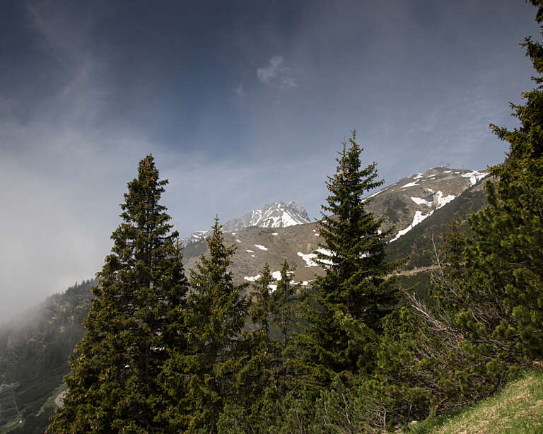 Bodensteinalm Wandern 4