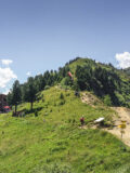 Boscheben