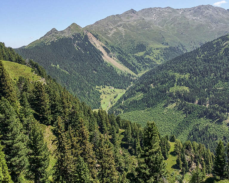 Blick vom Jochleitensteig Viggarspitze und Glungezer im Hintergrund