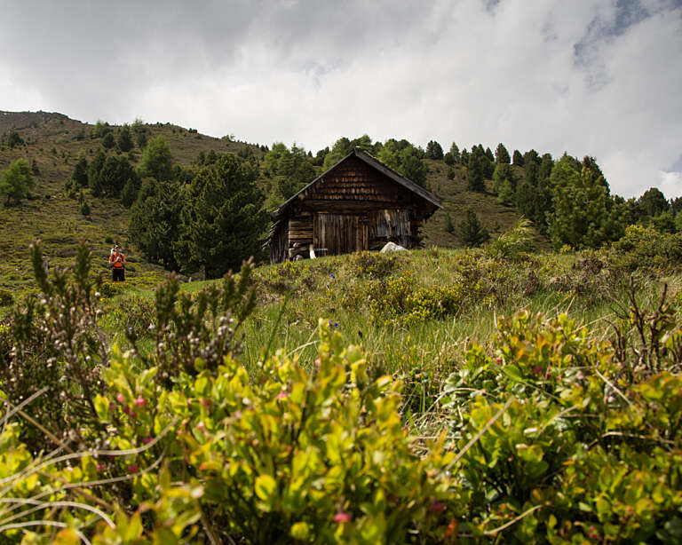 Brandstattalm Wandern 5