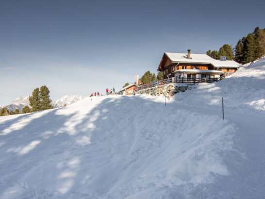 Feldringalm Rodelbahn 1