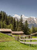 Gerichtsherrnalm