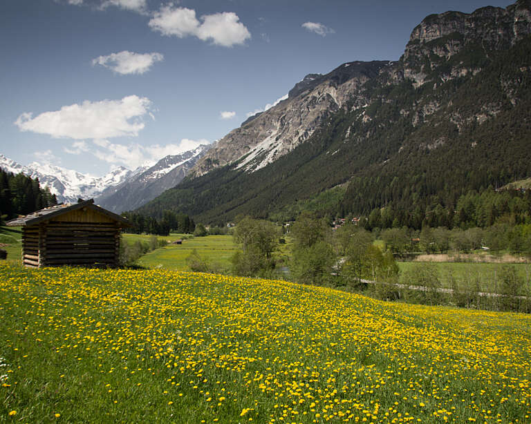 Gerichtsherrnalm Wandern 2