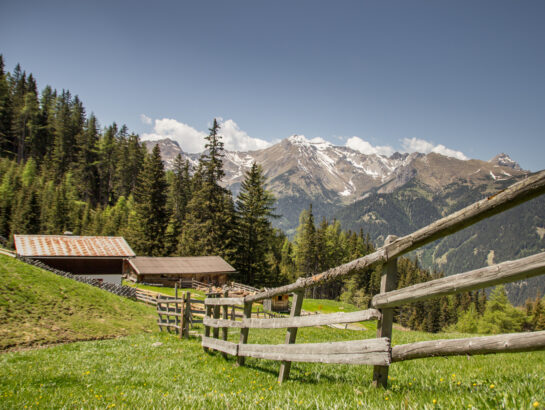 Gerichtsherrnalm Wandern 1