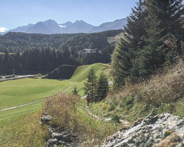 Kurzer Steig hinauf von Niederthai auf den Bergmahderweg