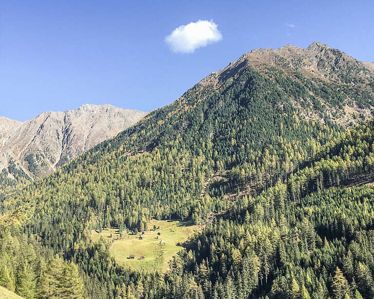 Grasstallfeld mit Neederkogel