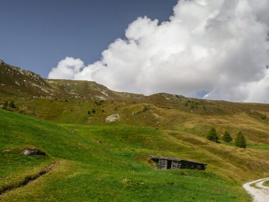 Mieslalm Wandern 1