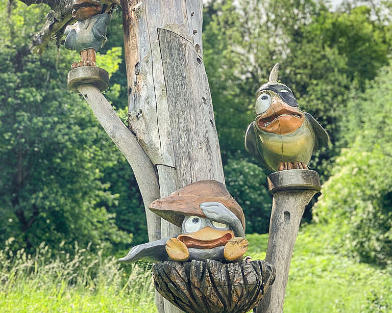 Ein umgekehrter Baum markiert den Beginn des Piepmatzwegs