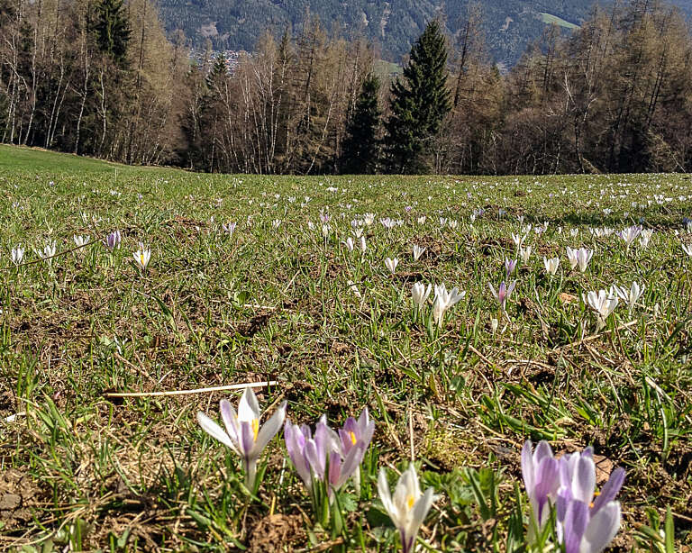 Stockerhof Wandern 3