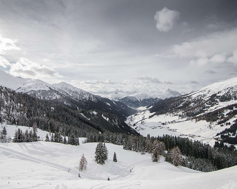 Stoecklalm Rodeln 4