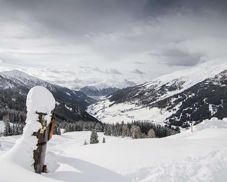 Stoecklalm Rodeln 6