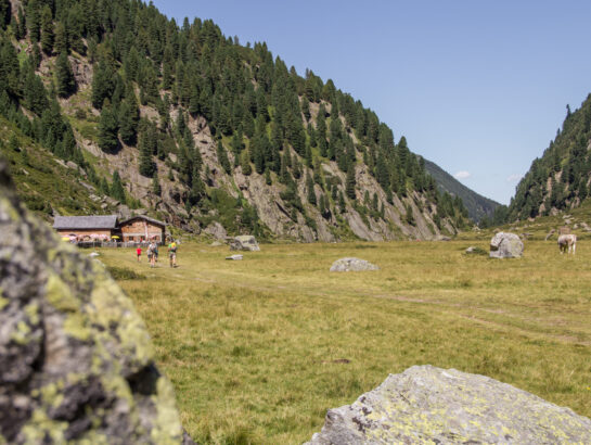 Sulzenaualm Wandern 8