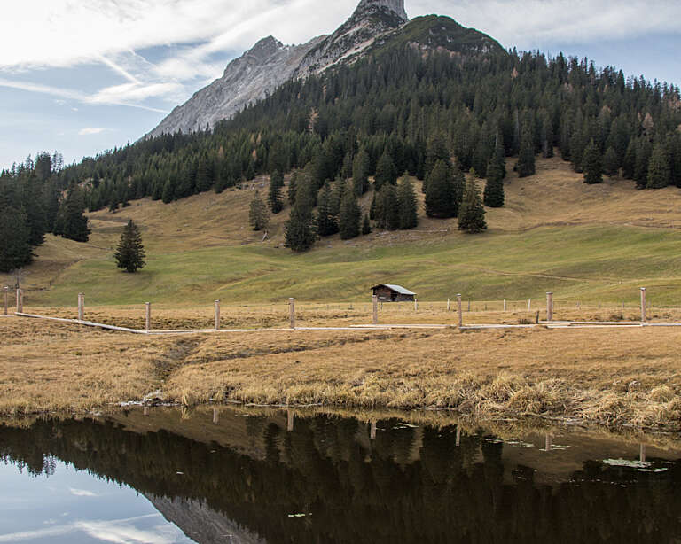 Walderalm Wandern 8