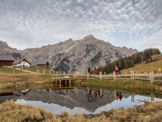 Walderalm Wandern 1
