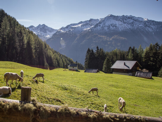 Wiesle Wandern 1